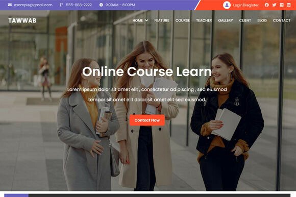 Redefining Digital Pedagogy: The Strategic Power of the Online Course Education Template